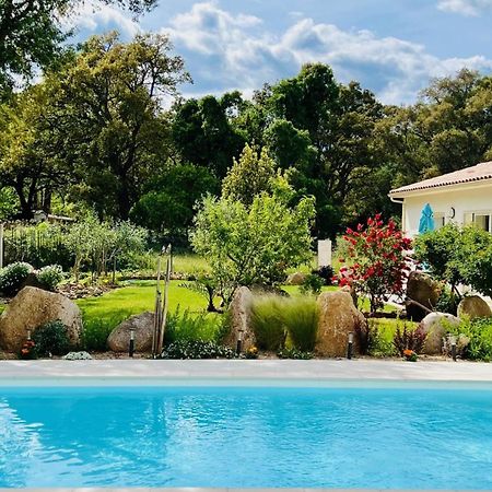 Mini Villa Pascal Paoli Avec Piscine - Proche Mer Prunelli-di-Fiumorbo Esterno foto
