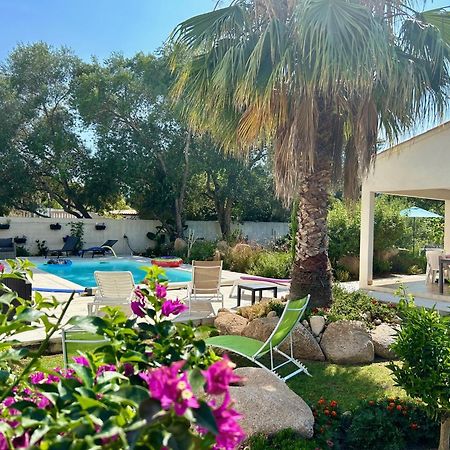 Mini Villa Pascal Paoli Avec Piscine - Proche Mer Prunelli-di-Fiumorbo Esterno foto