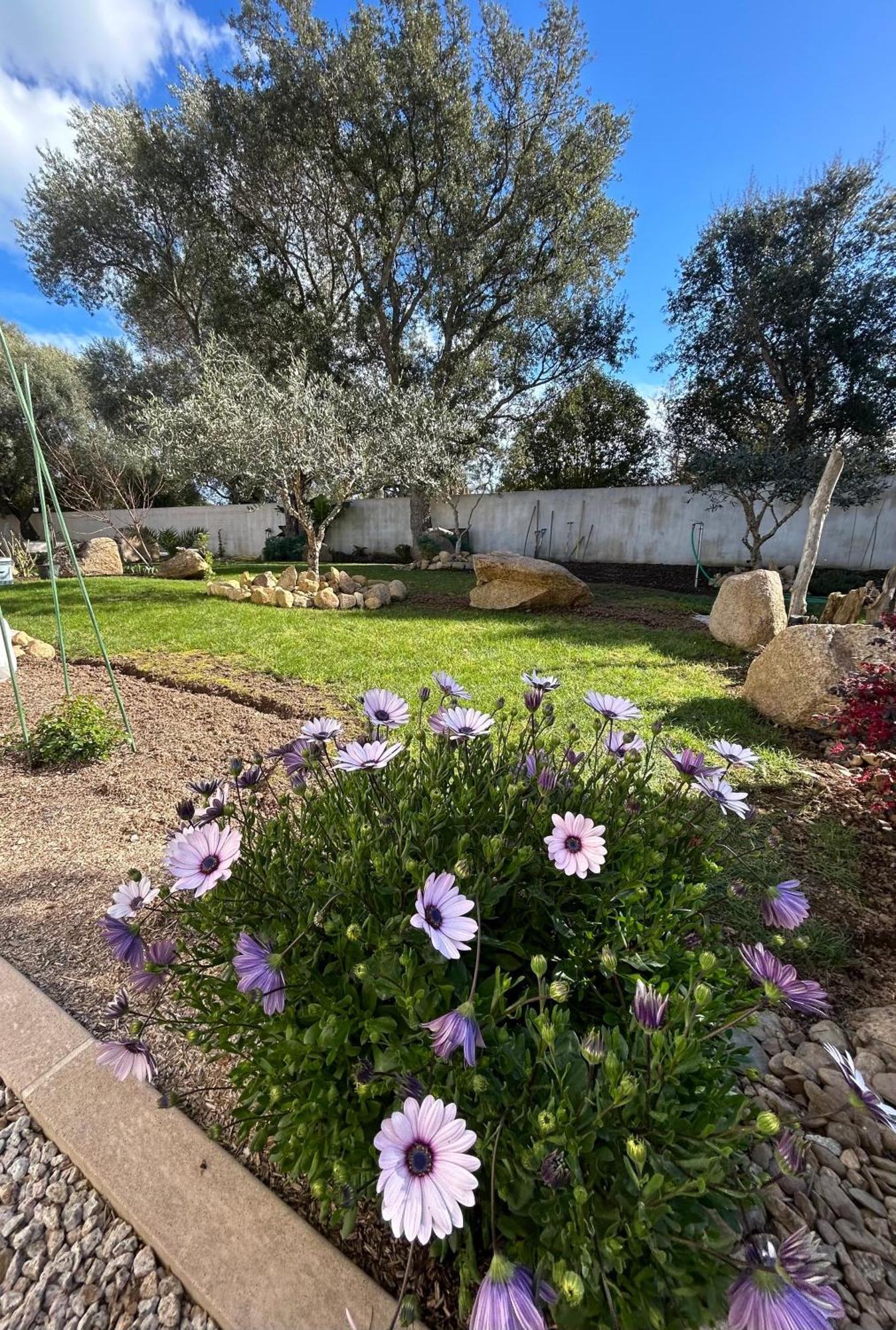 Mini Villa Pascal Paoli Avec Piscine - Proche Mer Prunelli-di-Fiumorbo Esterno foto
